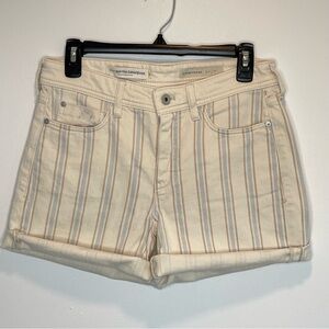 Pilcro by Anthropologie Shorts Size 27 “boyfriend slim”